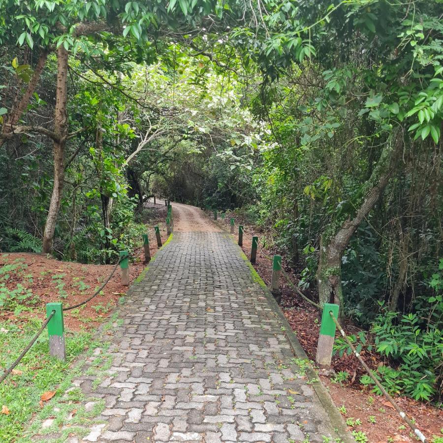 Suite Ampla No Melhor Da Barra Da Tijuca Rio de Janeiro Esterno foto